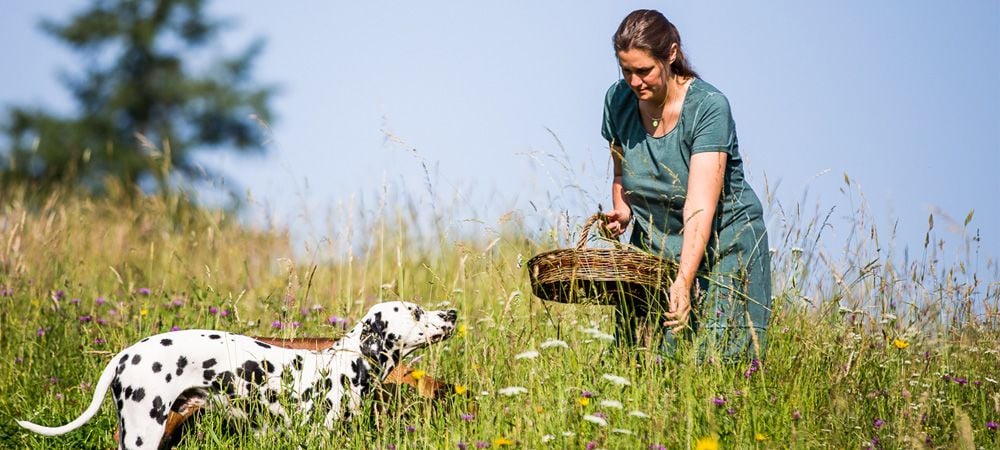 Darmparasiten bei Hund & Katze: Verstehen & Behandeln